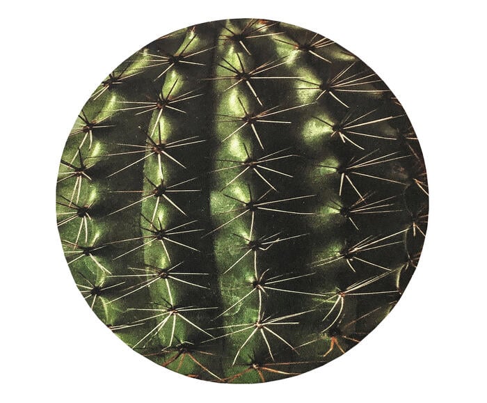Mousepad Cacto - image 0