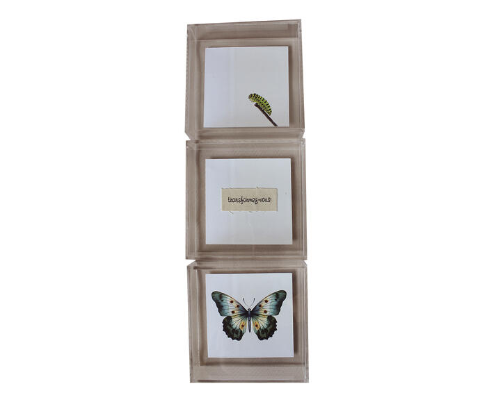 Quadro em Acr&iacute;lico "Conjunto de Metamorfose" - image 0