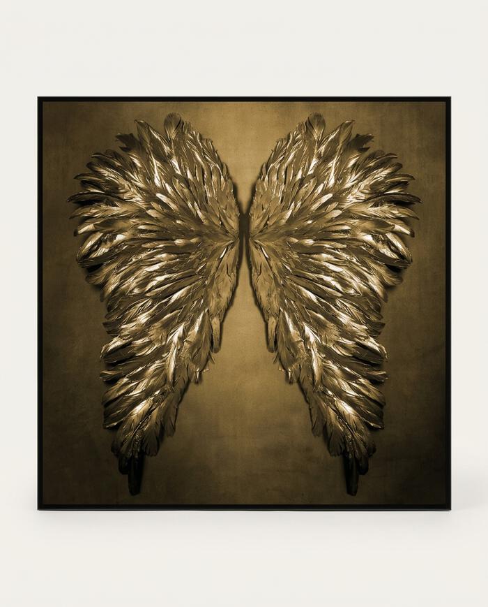 Quadro Wings I -  Nicole Wells - image 0