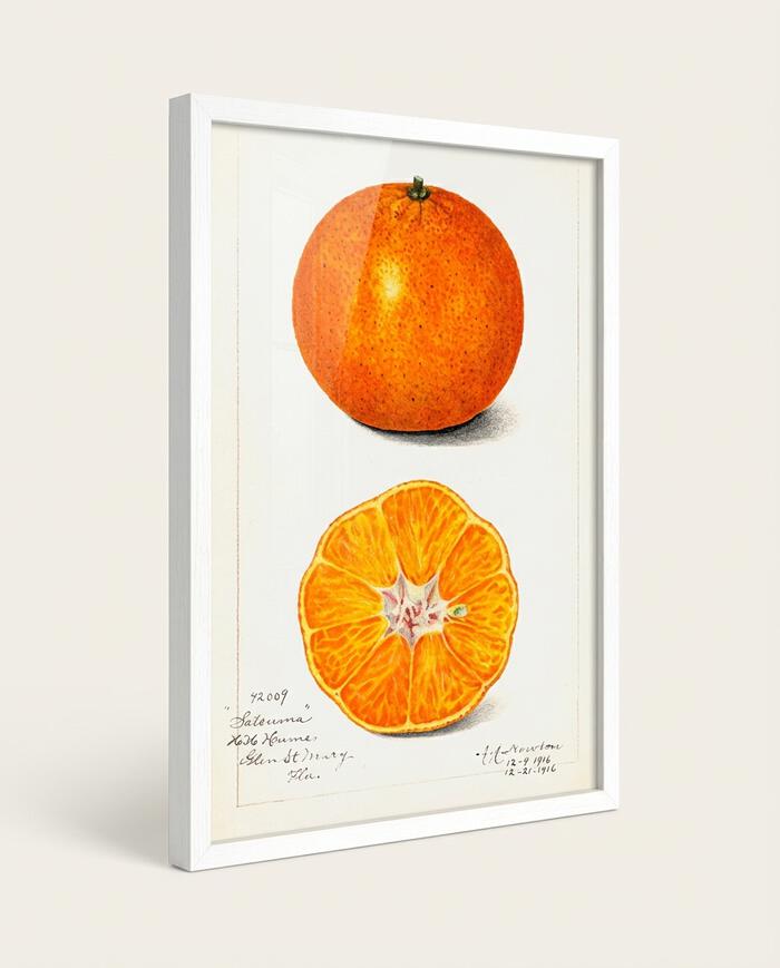 Quadro Laranja Vintage com Moldura Branca image number 4