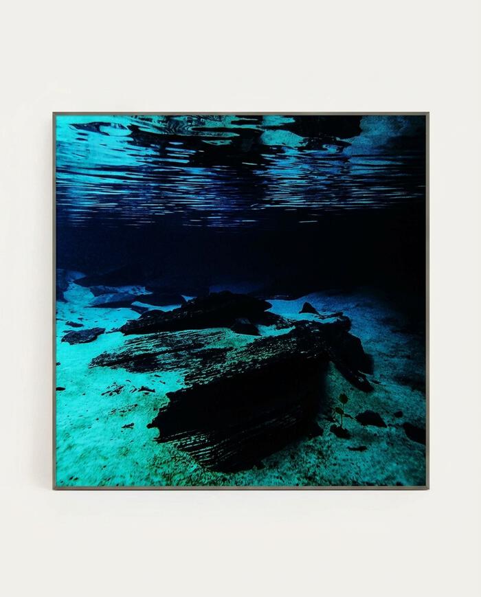 Quadro Jandaia - Reinaldo Giarola - image 0