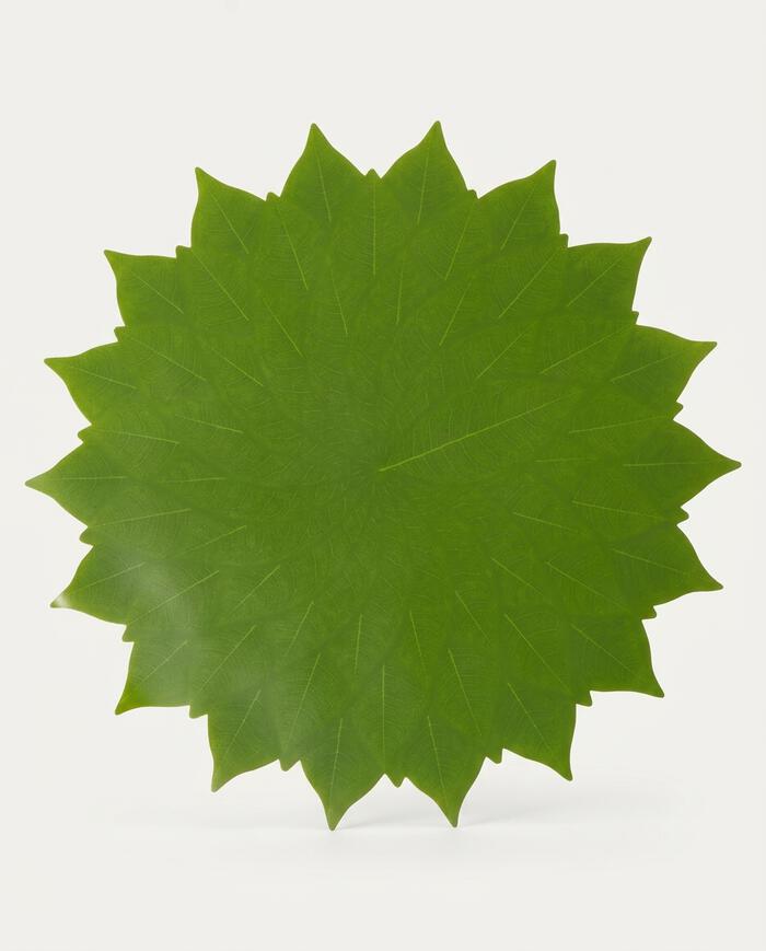 Lugar Americano Diam Folhas  - Verde image number 4