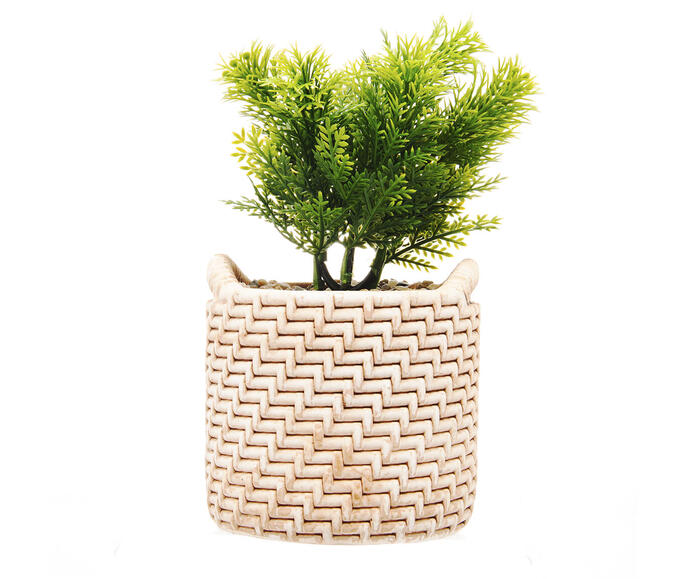 Cachepot Palha com Suculenta - image 0