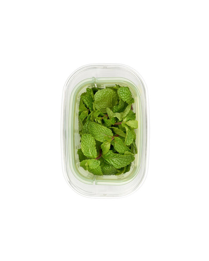 Pote para Ervas Greensaver image number 3