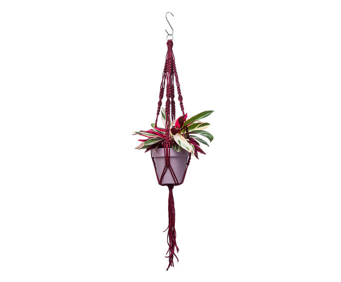 Hanger em Macram&ecirc; Dna Marsala - image 0