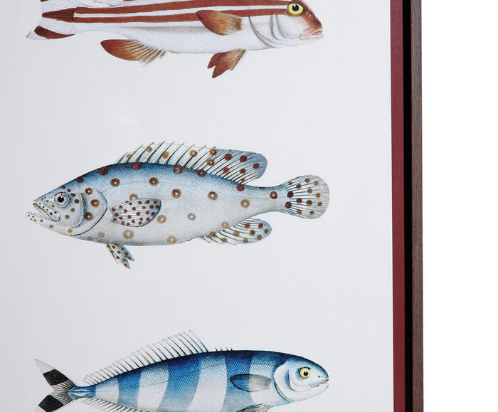 Quadro Decorativo Pescaria image number 3