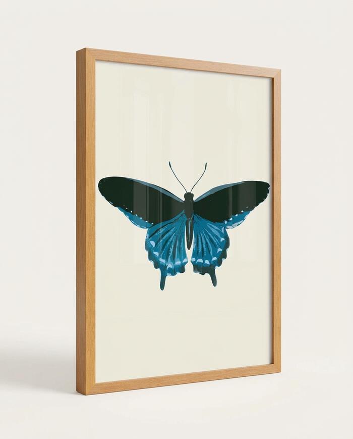 Quadro Borboleta Azul com Moldura em Madeira image number 4