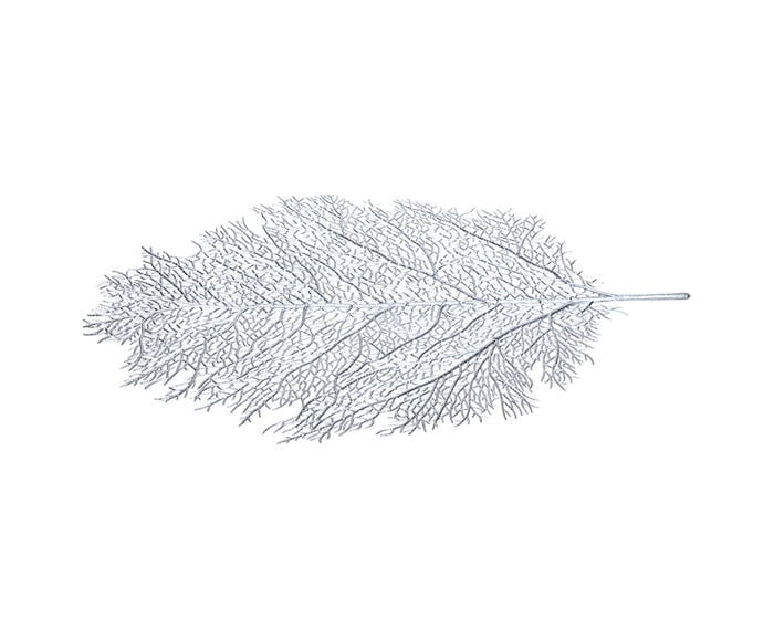 Lugar Americano Leaf Prata - image 1