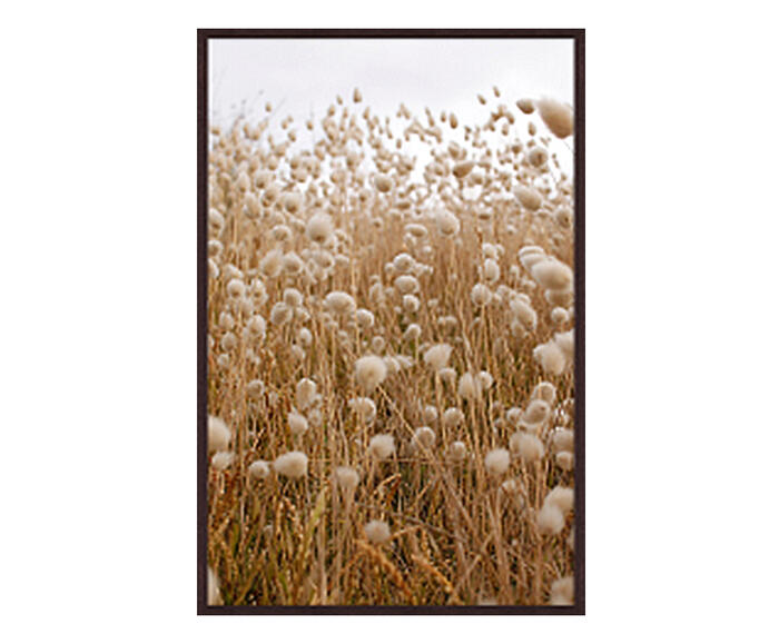 Quadro Artsy Schwarzenbek II - image 0