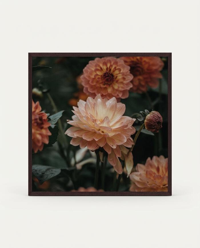 Quadro Artsy Percival - image 0