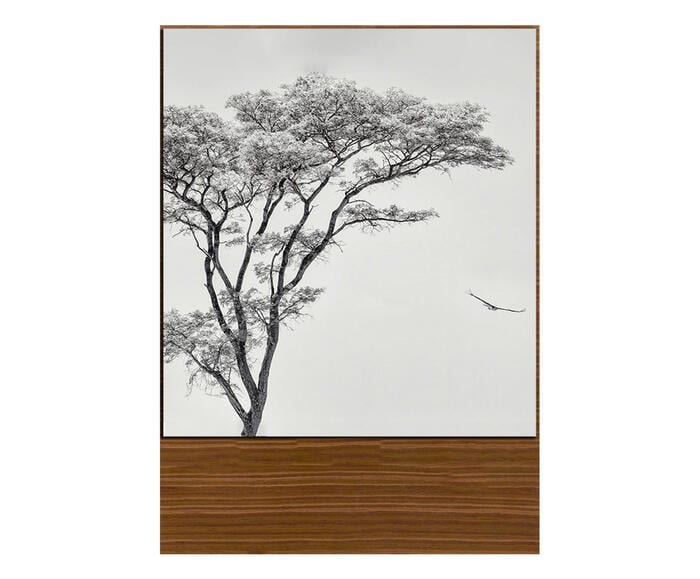 Quadro Nature White II - image 0