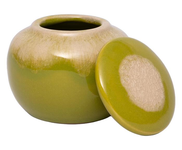 Pote Cedrico - image 1