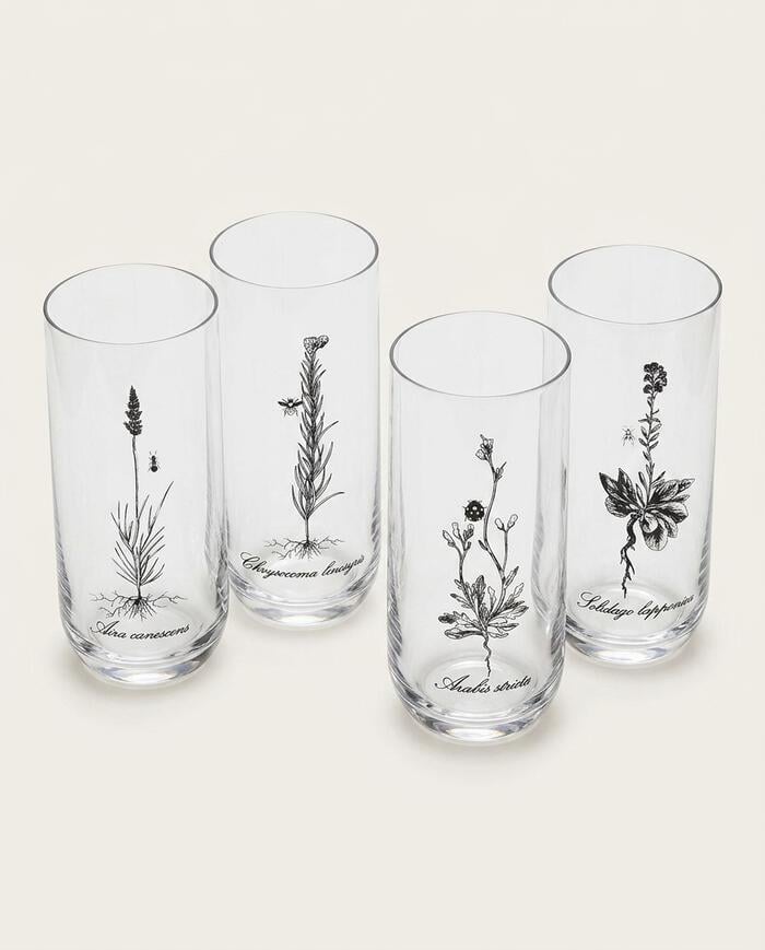 Jogo de Copos Altos Herbal em Cristal Sortido image number 2