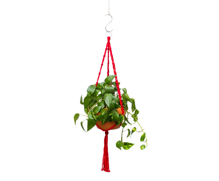 Hanger em Macram&ecirc; Summer Vermelho - image 0