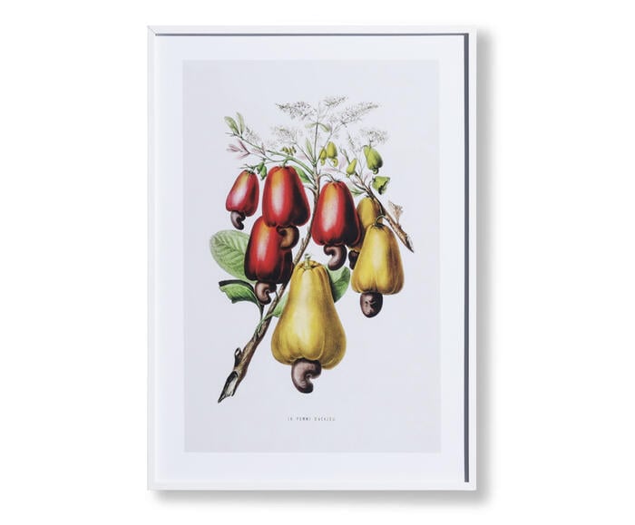 Quadro Decorativo Alceu - image 1