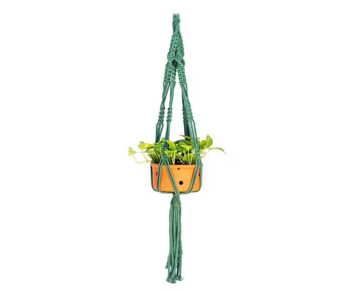 Hanger em Macram&ecirc; Mega Verde - image 0