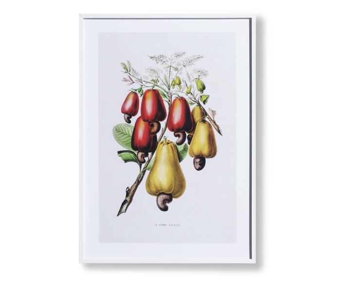 Quadro Decorativo Alceu - image 0