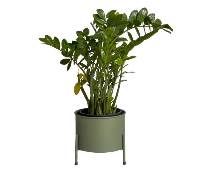Suporte de Plantas com Vaso Slim Humait&aacute; Verde Oliva - image 0