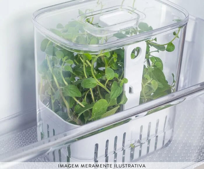 Organizador de Temperos Clear Fresh I Natural - image 1