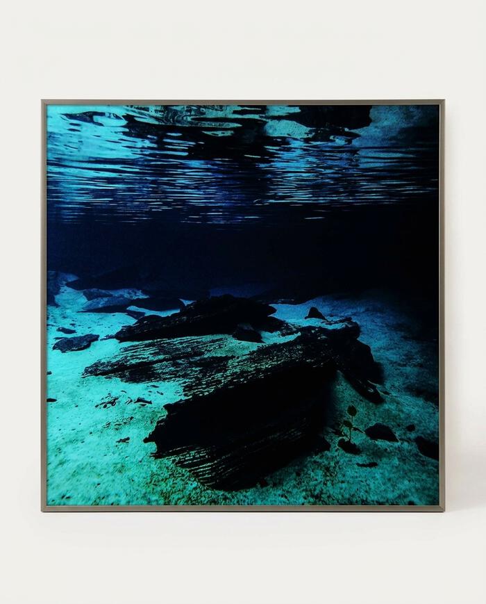Quadro Jandaia - Reinaldo Giarola image number 4