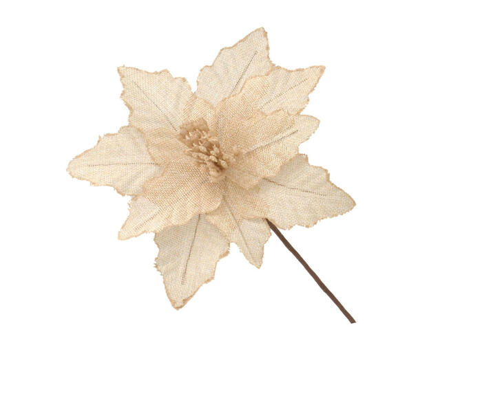 Flor Natalina P&eacute;tala Rubra - image 0