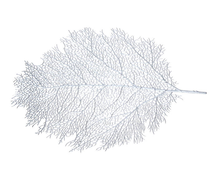 Lugar Americano Leaf Prata - image 0