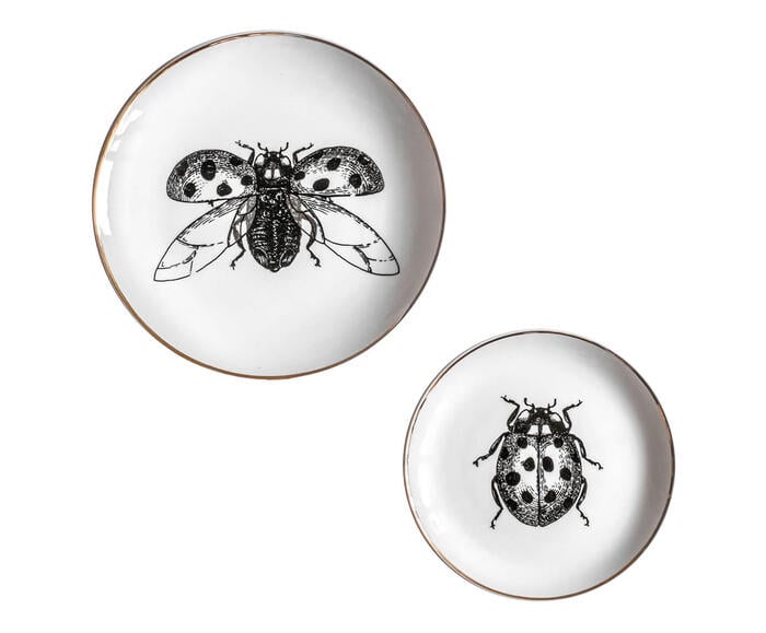Jogo de Pratos Decorativos em Porcelana Joaninha - image 0