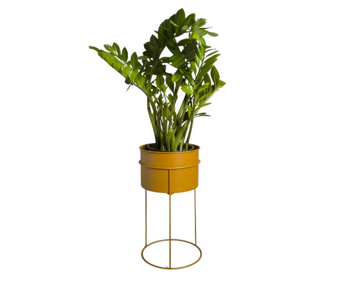 Suporte de Plantas com Vaso Humait&aacute; Terracota - image 0