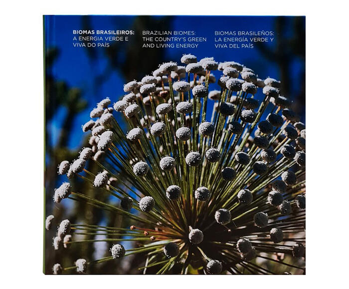 Livro "Biomas Brasileiros - A Energia Verde E Viva Do Pais" - image 0