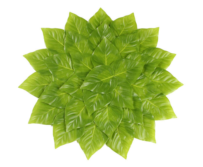 Lugar Americano Amaro - Verde - image 0