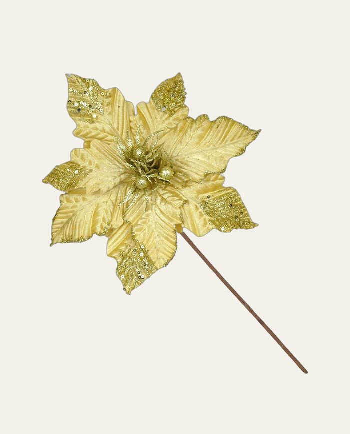 Flor Natalina Poins&eacute;tia Dourada image number 0