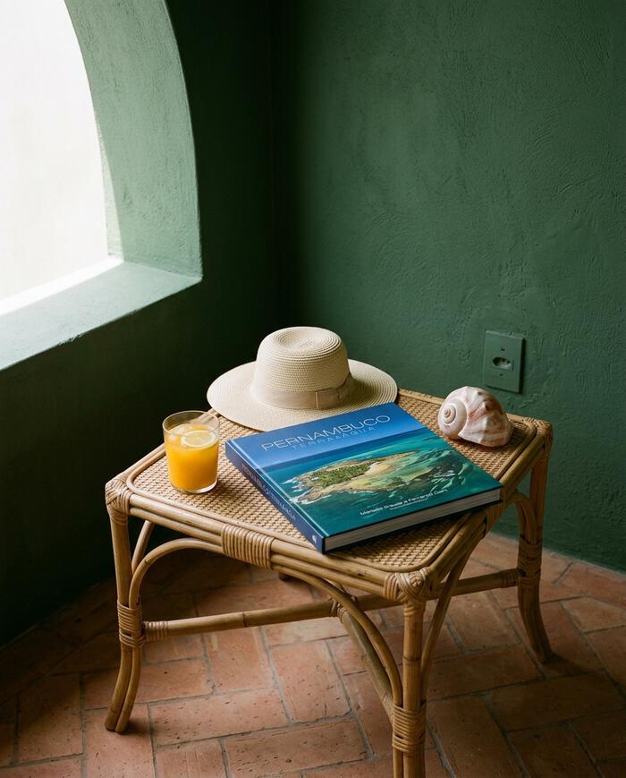 Livro "Pernambuco - Terra E &Aacute;gua" - image 1
