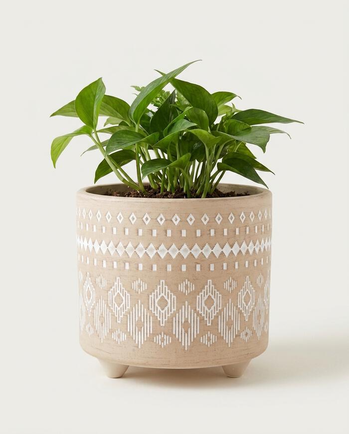 Cachepot Winny Bege Grande - image 0
