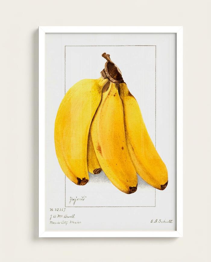 Quadro Banana Vintage com Moldura Branca - image 0