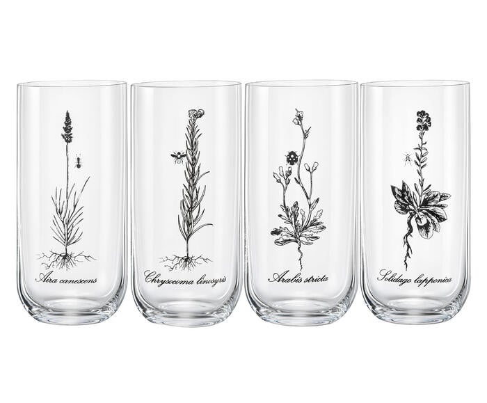Jogo de Copos Altos Herbal em Cristal Sortido - image 0