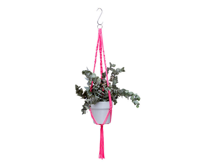 Hanger em Macram&ecirc; Neon Pink - image 0