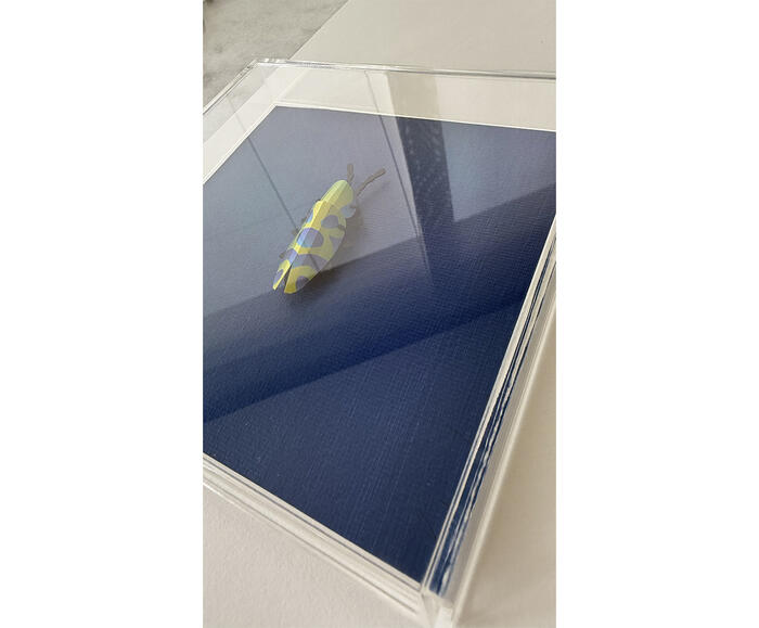 Quadro Besouro Azul Marinho 3D - 20x20 cm - image 1