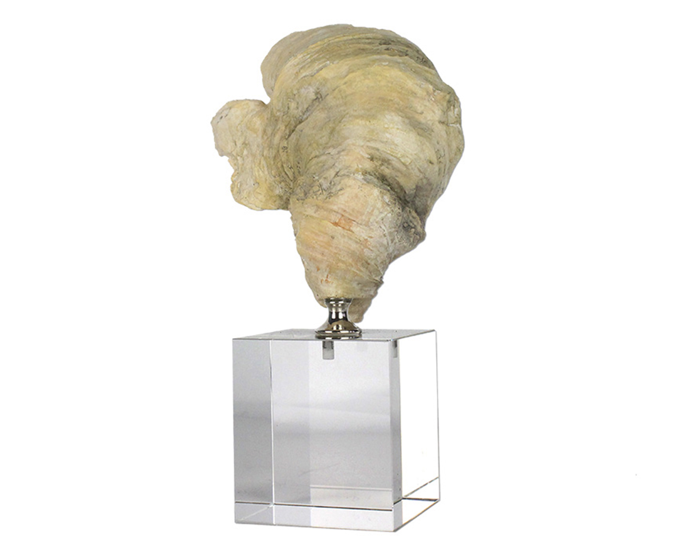 Adorno Decorativo Moule Bege image number 0