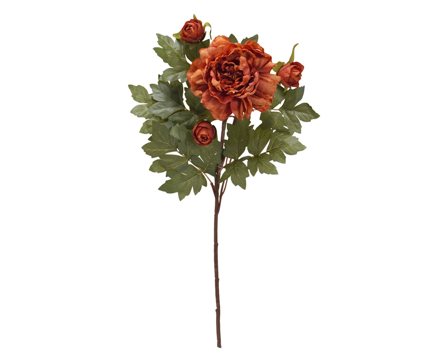 Flor Artificial Peronia Spinnet - image 0