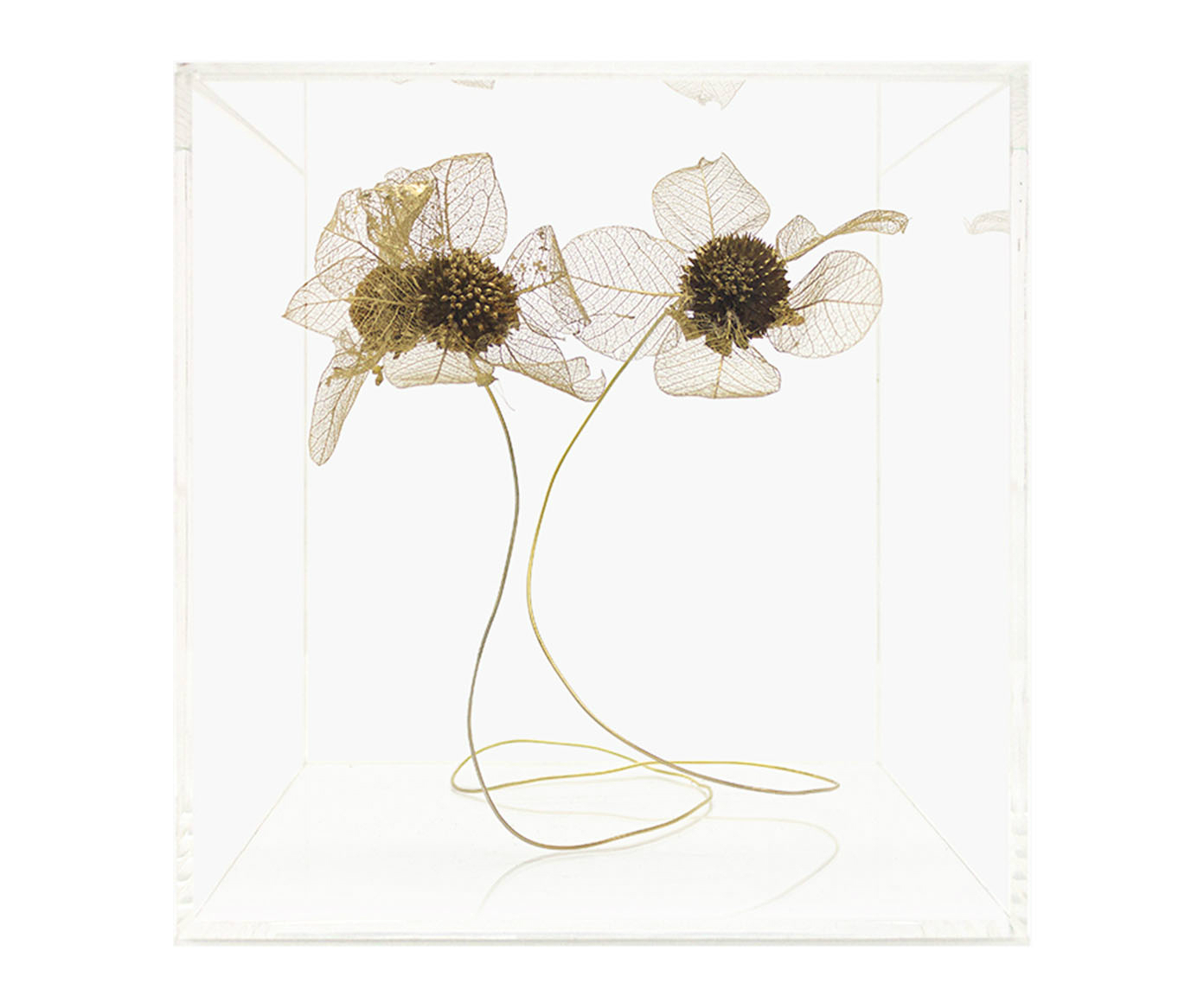 Caixa Decorativa Neuss Dourado - image 0