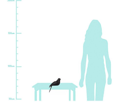 Adorno Oiseau P&aacute;ssaro image number 2