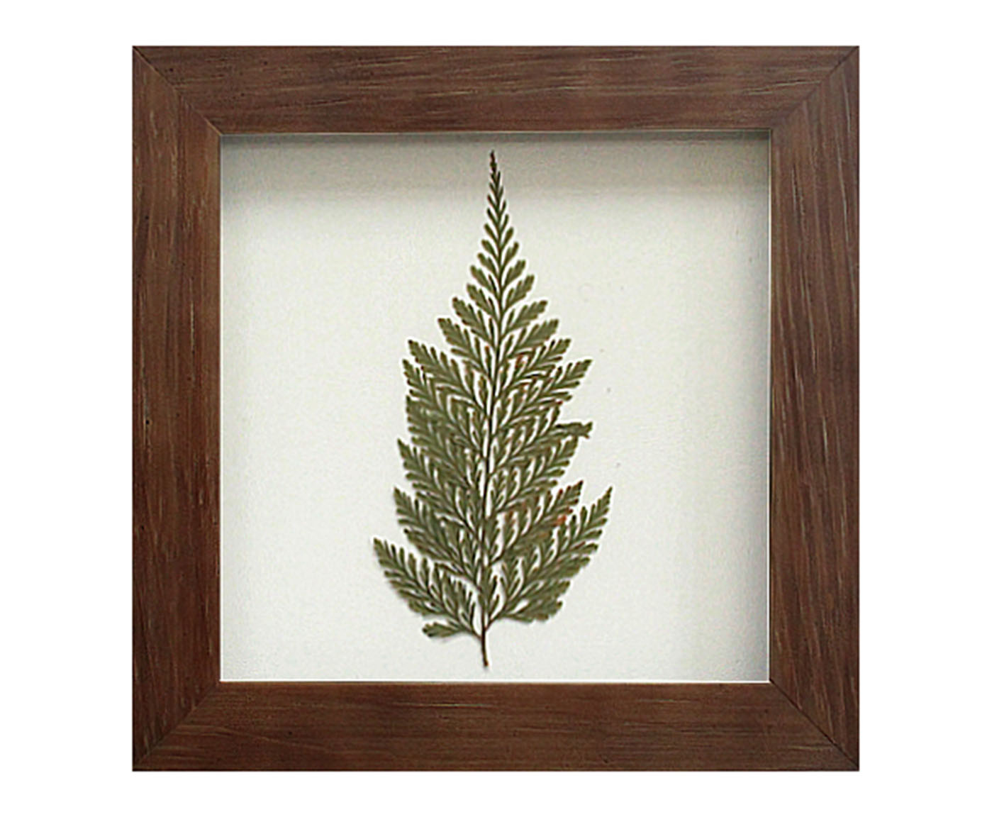 Quadro Renda Portuguesa Imbuia image number 0