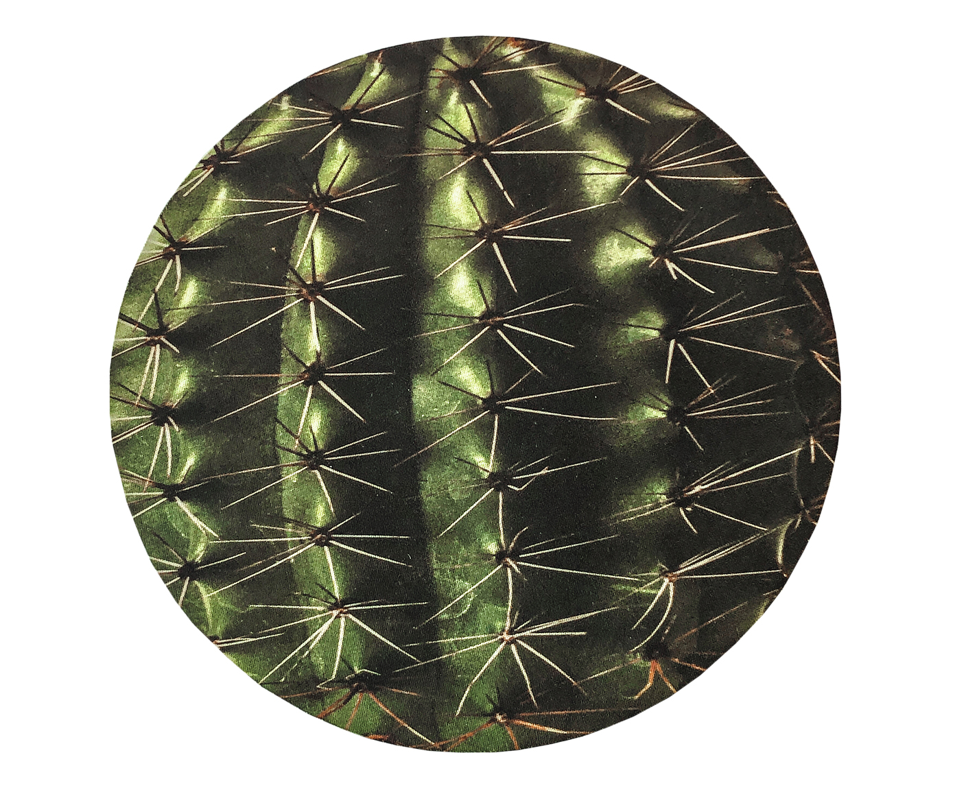 Mousepad Cacto - image 0