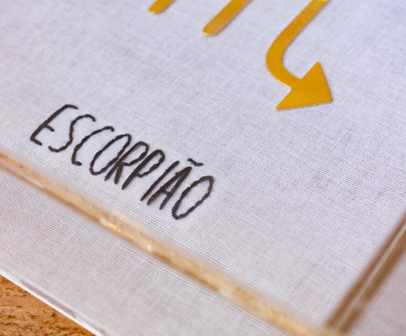 Quadro em Acr&iacute;lico "Signo Escorpi&atilde;o" image number 2
