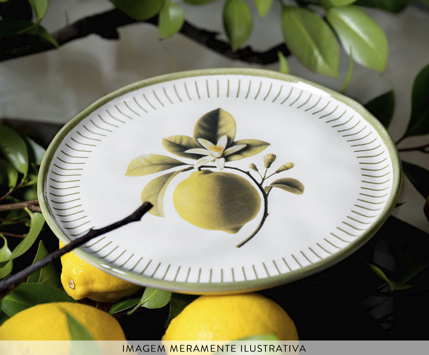Jogo de Pratos para Sobremesa Bio Lemon Frutas - image 1