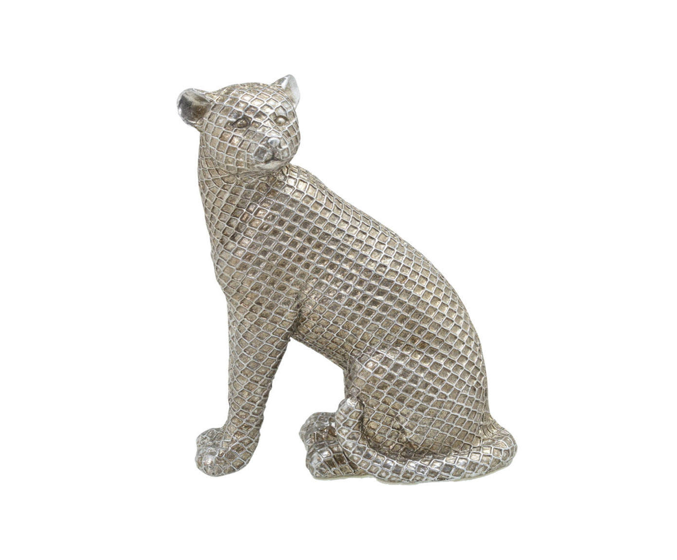 Adorno Leopardo Yakuplu - image 0