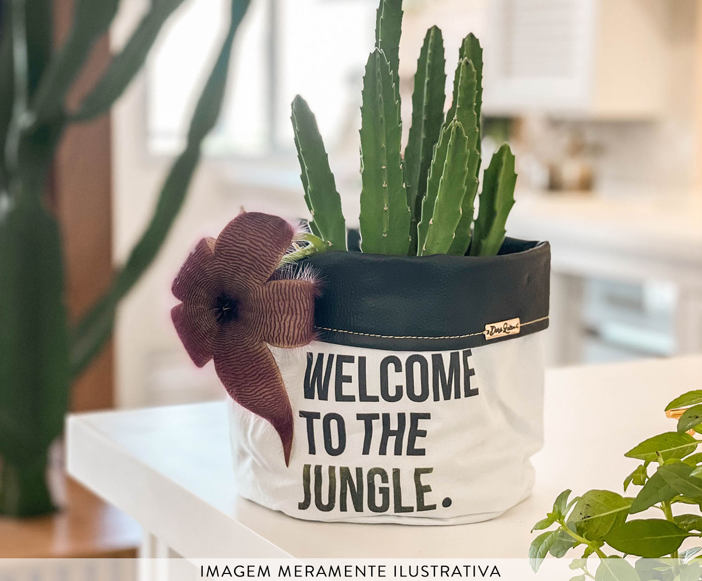 Cachepot Welcome To The Jungle Preto e Branco image number 1