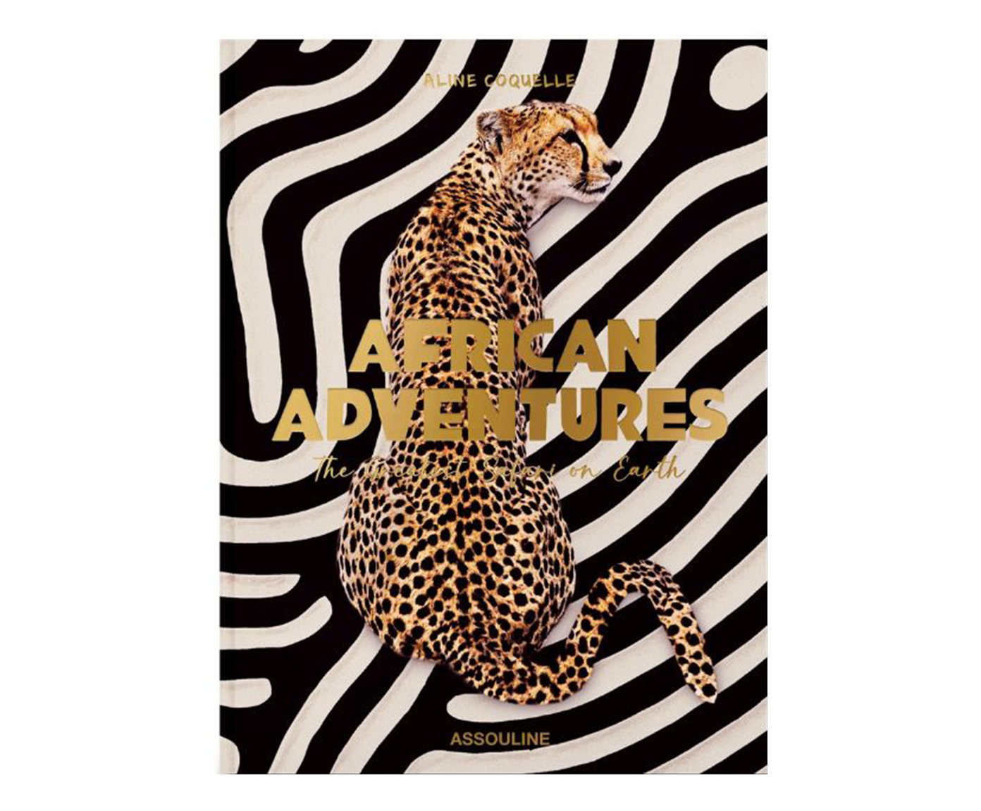 Livro "African Adventures" image number 0