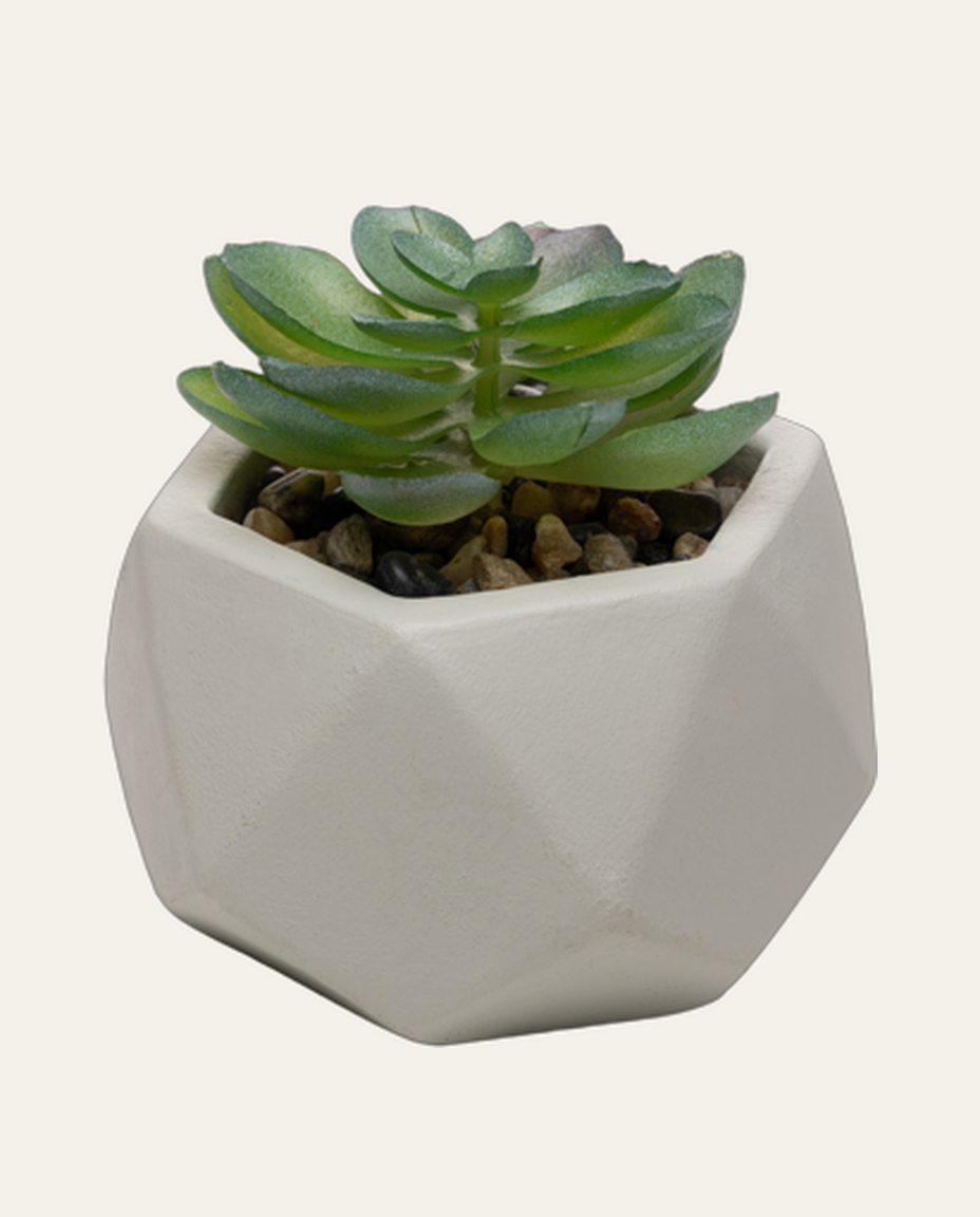 Cachepot com Sucelenta Artificial Prismatto Cinza Cimento - image 0