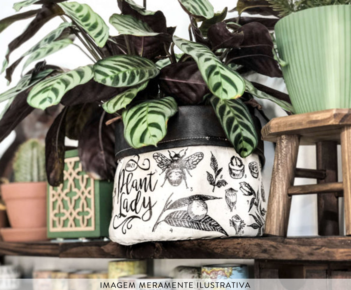 Cachepot Crazy Plant Lady Preto e Branco image number 3